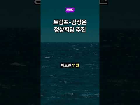 트럼프-김정은 정상회담 추진