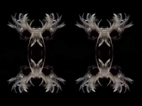 ROADS Publishing: Charlie Le Mindu, Haute Coiffure.