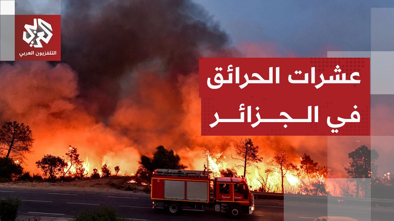 الجزائر تسجل 133 حريقا في 7 ولايات وجهود للحماية المدنية للسيطرة عليها