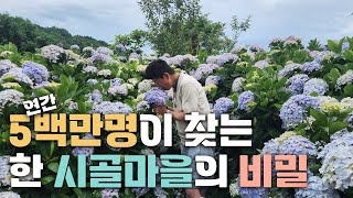 마을 공동체가 힘을 합치면 이런 변화를 만들어낼 수 있습니다. 세상을 변화시키는 조경의 힘!