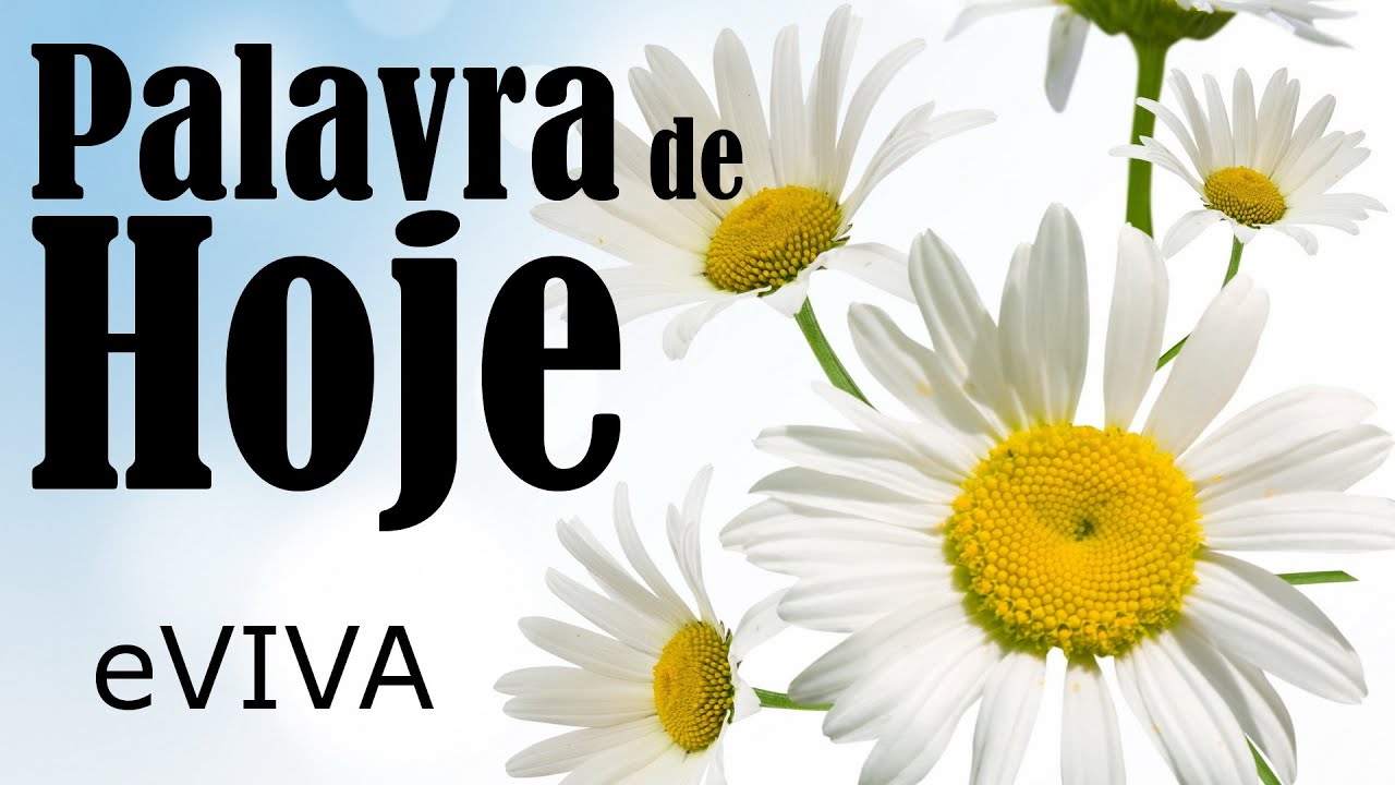 WORD OF THE DAY FEBRUARY 3, 2023 MOTIVATION AND REFLECTION GOOD MORNING MESSAGE AND MORNING PRAYE...