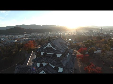秋、彦根城 - Hikone Castle in Autumn