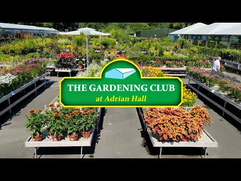 50% Off end of season Sale - On Now