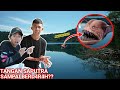 Gawat Tangan Saputra Digigit Angler Fish Berb4haya Mikael Family