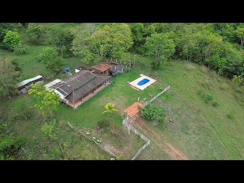Chacara de 2,6 hectares apenas 25km de Goiânia R$ 460.000,00 avista 