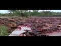 Meshuggah - Swarm (Fan-made Music Video) HD