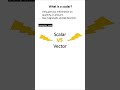 Scalars Vs Vectors