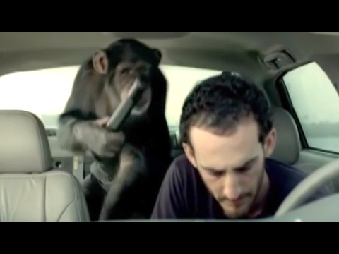 Funniest Trunk Monkey Commercials