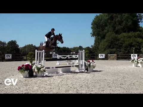 Hambroisedelacorniere SAUT