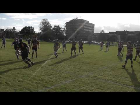 ENRFC v Hawick Linden