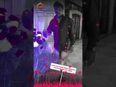 download lagu mp3 mp4 Makar Sankranti Wishes For Boss, download lagu Makar Sankranti Wishes For Boss gratis, unduh video klip Makar Sankranti Wishes For Boss