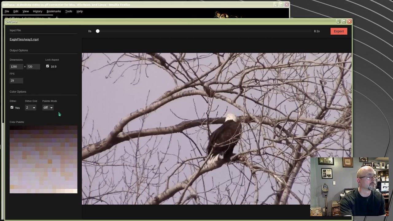 Convert Video To Animated GIF - Linux Mint 19