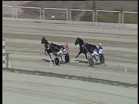 Trotto 14/10/2018 - prova di qualifica