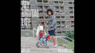 Download lagu The Black Dog - My Brutal Life: Ambient Mixes Box Set (2025) mp3