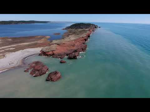 Chez Buddy & Cape Alright 4K