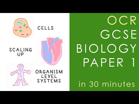 All of OCR BIOLOGY Paper 1 in 30 minutes - GCSE Science Revision (Gateway)