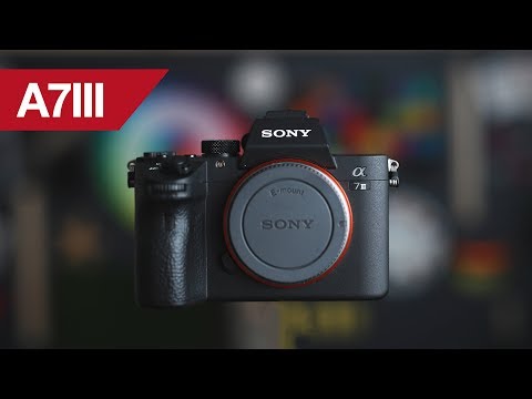 Sony A7III High ISO Performance