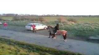 preview picture of video 'Katy Riding Katy Fluke Hall Pilling 04 Jan 09'