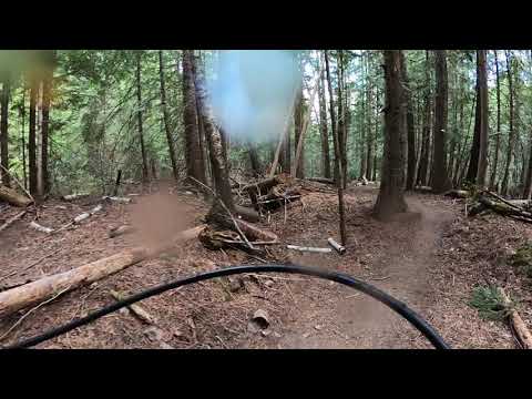 Enchanted Forest, near Bonner's Ferry Idaho
