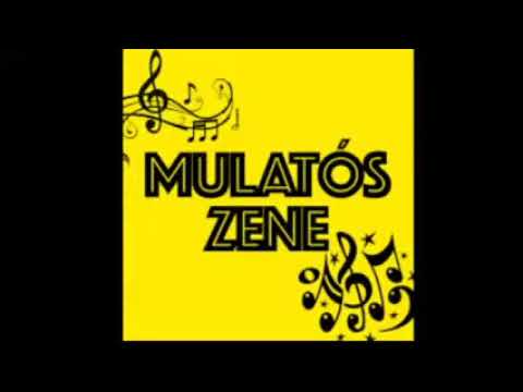 Vajdasági mulató Élő adás