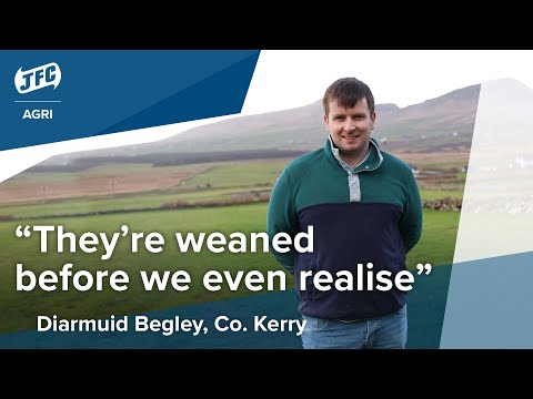 Automatic Calf Feeder - Image 2