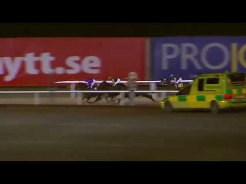 2016.10.06 Jubileumslöpning (SWE) - Duke Derby