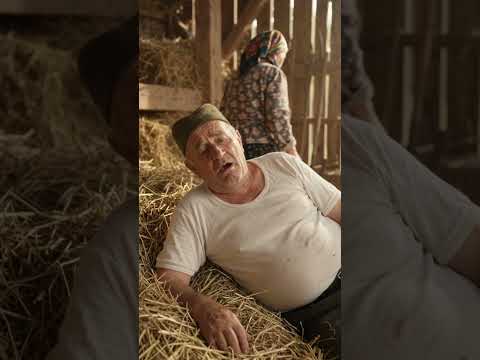 Jedino još na vile mogu da se nabodem 🤣🤣🤣 #funny #viralvideo #comedy #smiješno