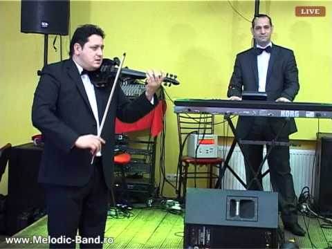 Nicu Parpala - Am iubit si eu odata (COVER)