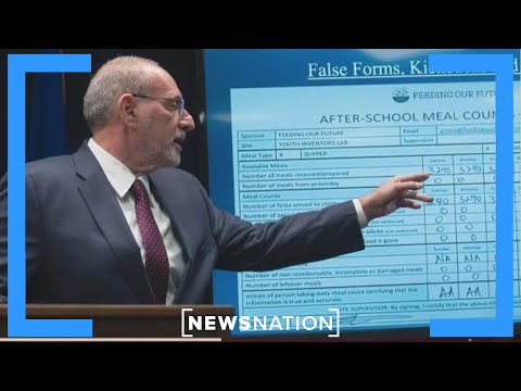 Minnesota fraud ‘erodes confidence’ in state government: Ex-DHS adviser | NewsNation Live