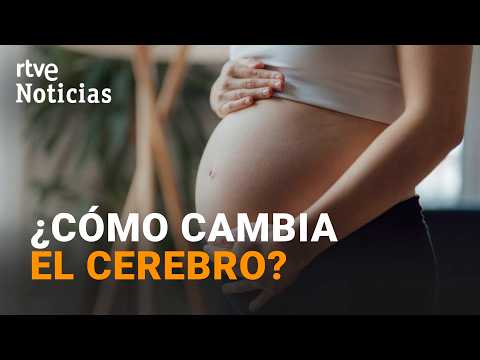 Las mujeres pierden materia gris durante la pubertad y el embarazo, pero no en la menopausia | RTVE