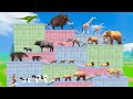 Death Run Who Will Win Saber Tooth Tiger Vs Elephant Gorilla Dinosaur Wild Animal Revolt Battle