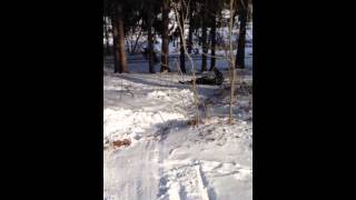 Sledding gone way wrong(boys boots fly off)