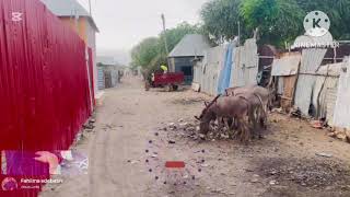 Vlog qurux badan buloburte Hiiraan Somalia 🇸🇴 