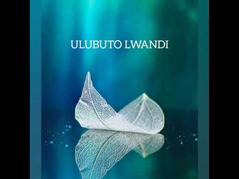 Ulubuto Lwandi Dalitso BM