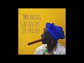 "Melodias Calientes" (An Afro Cuban, Soulful House Mix) by DJ Spivey