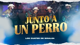 Los Cuates De Sinaloa - Junto a Un Perro (En Vivo 2023)