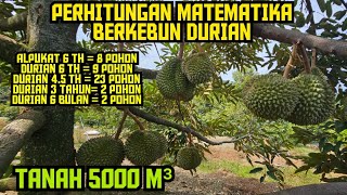 Download lagu 🔴🔴RESULTS AND EXPENDITURES OF DURIAN GARDENING 5000 M² ‼️ AT THE BEGINNING IT STARTS TO BEAR FRUI... mp3