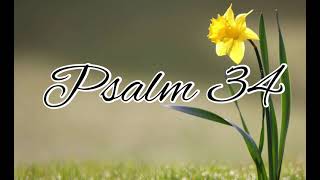 Psalm 34 - NLT Audiovisual