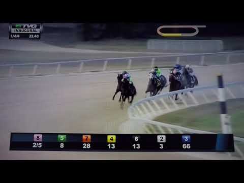 INAUGURAL (G STAKES) 12/16/17 - TRICKS TO DOO !!!