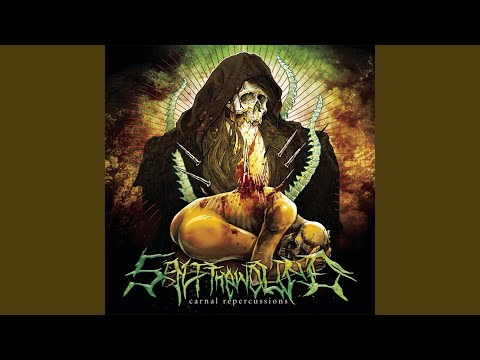 Better Than This - Salt the Wound