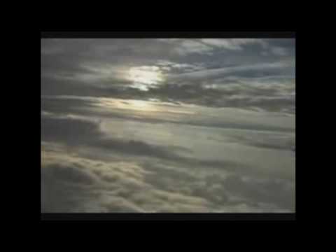 Viviani Cavalaro - Asas de papel