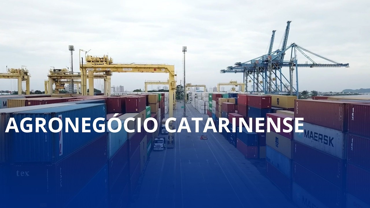 Com produção em alta, preços favoráveis e forte peso nas exportações, o agronegócio catarinense viveu um ano histórico em 2025