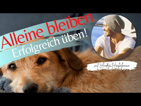 Alleine-Bleiben üben und diesen Fehler unbedingt vermeiden! Profi-Tipps!