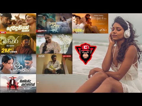 හිතට දැනෙන්න අහන්න | Manoparakata Sinhala Song Collection | Sinhala Mood Songs 2025 | Colombo Beats