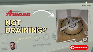 Amana Dishwasher Water Won't Drain? Don't Call Repair! (Save $200)
