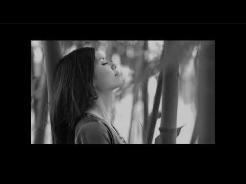 Tình như đã xót xa - Dzoãn Minh