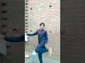 Kikran Di Chaanven Dance Masti Boll