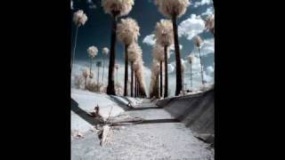 Sparklehorse Gasoline Horseys