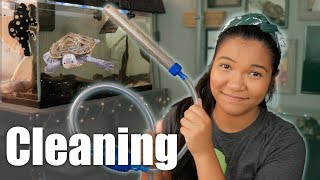 TURTLE TANK CLEANING + proper way to clean turtle filter