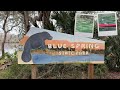 The Winter Home Of Florida S Manatees Blue Spring State Park